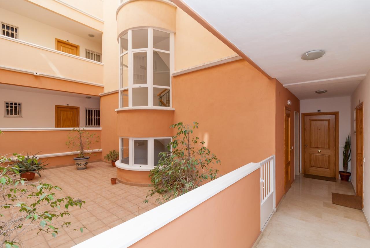 Zorrilla Torrecilla Apartment